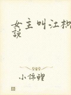 女主叫江枳的小说