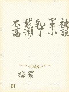 不戴乳罩被揉到高潮了小说