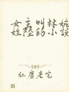 女主叫林婉男主姓陆的小说封面