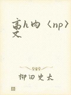 高h肉〈np〉文