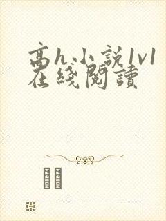 高h小说1v1在线阅读