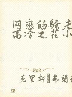 网恋的骚老婆竟高冷之花小说叫什么封面