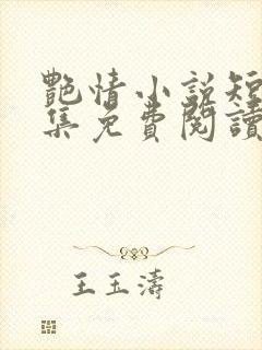 艳情小说短篇合集免费阅读封面