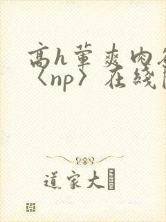 高h荤爽肉欲文〈np〉在线阅读