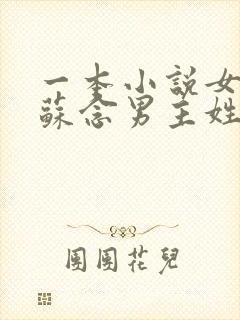 一本小说女主叫苏念男主姓陆