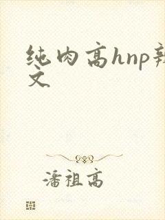 纯肉高hnp辣文