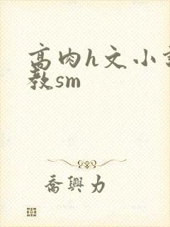 高肉h文小说调教sm