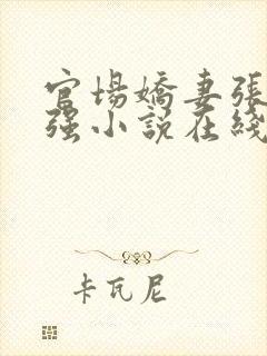 官场娇妻张梅高强小说在线阅读