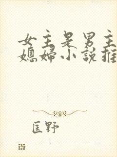 女主是男主的弟媳妇小说推荐