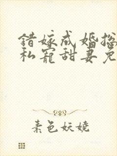 错嫁成婚总裁的私宠甜妻免费阅读