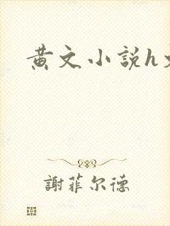 黄文小说h文