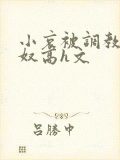 小哀被调教成肉奴高h文