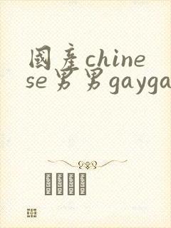 国产chinese男男gaygay网站xnxx