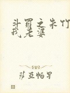 斗罗之朱竹清是我老婆封面