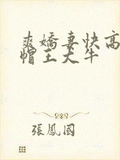 爽娇妻快高h绿帽王大牛