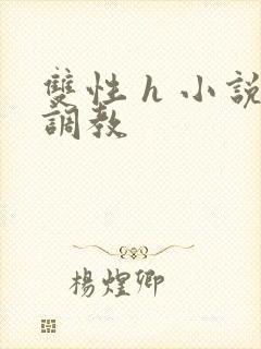 双性 h 小说调教封面