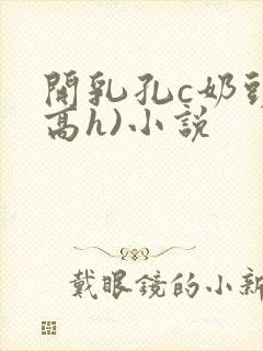 开乳孔c奶头(高h)小说