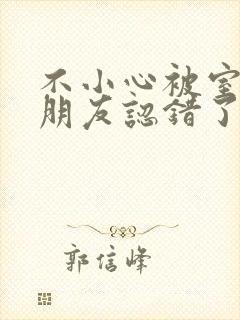 不小心被室友男朋友认错了宁笑阿温作者