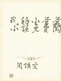 我的小爸爸李凯小说免费阅读