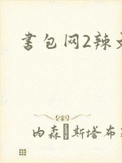 书包网2辣文