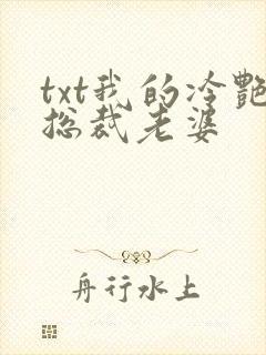 txt我的冷艳总裁老婆