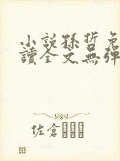 小说孙哲免费阅读全文无弹窗