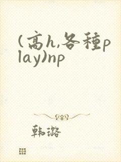 (高h,各种play)np