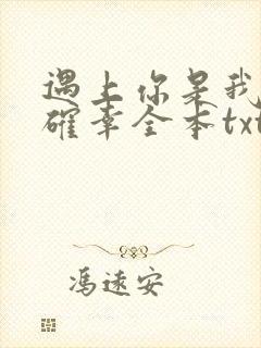 遇上你是我的小确幸全本txt下载