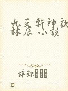 九天斩神诀小说林辰 小说