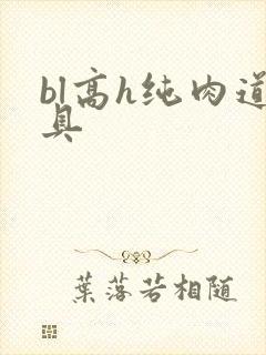 bl高h纯肉道具