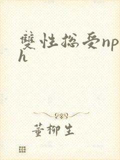双性总受np高h封面