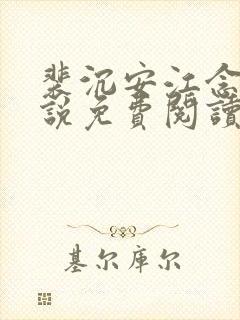 裴沉安江念意小说免费阅读最新章节