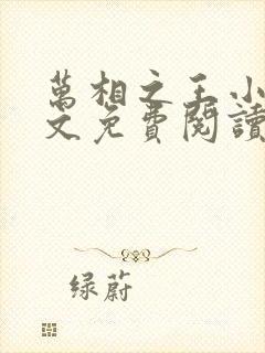 万相之王小说全文免费阅读未删减