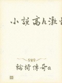 小说高h激情