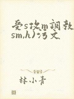 受s攻m调教(sm,h)污文