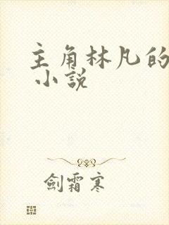 主角林凡的小说 小说