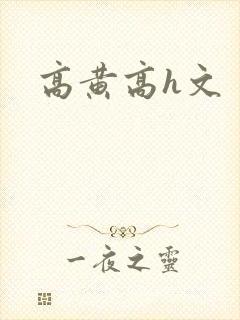 高黄高h文