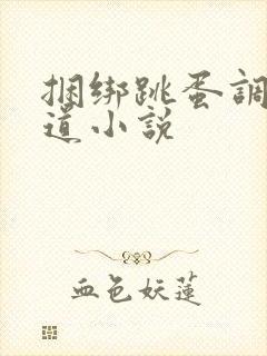 捆绑跳蛋调教阴道小说