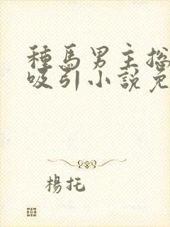 种马男主总是被吸引小说免费阅读