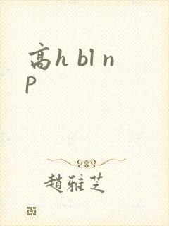 高h bl np封面