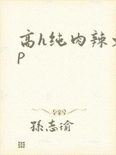 高h纯肉辣文np