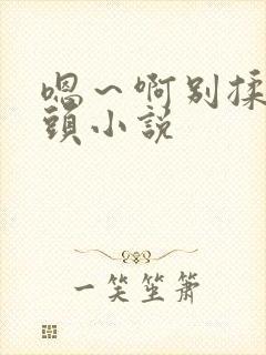 嗯～啊别揉我奶头小说