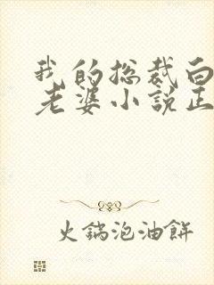 我的总裁白富美老婆小说正版封面