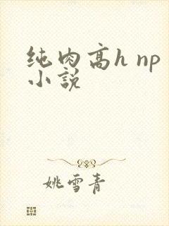 纯肉高h np小说