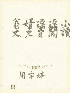 翁婿瑶瑶小说全文免费阅读最新章节封面