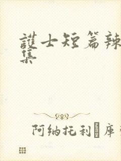 护士短篇辣文合集封面