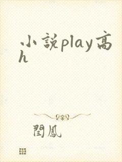 小说play高h