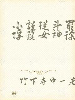 小说从斗罗开始俘获女神徐然/朱竹清手机版