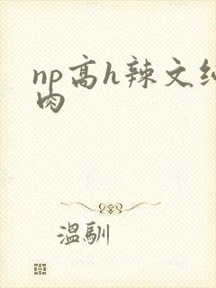np高h辣文纯肉