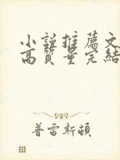 小说推荐文笔好高质量完结古言